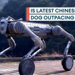 China Unveils Impressive Unitree B2-W Robot Dog with Advanced Agility and Balance