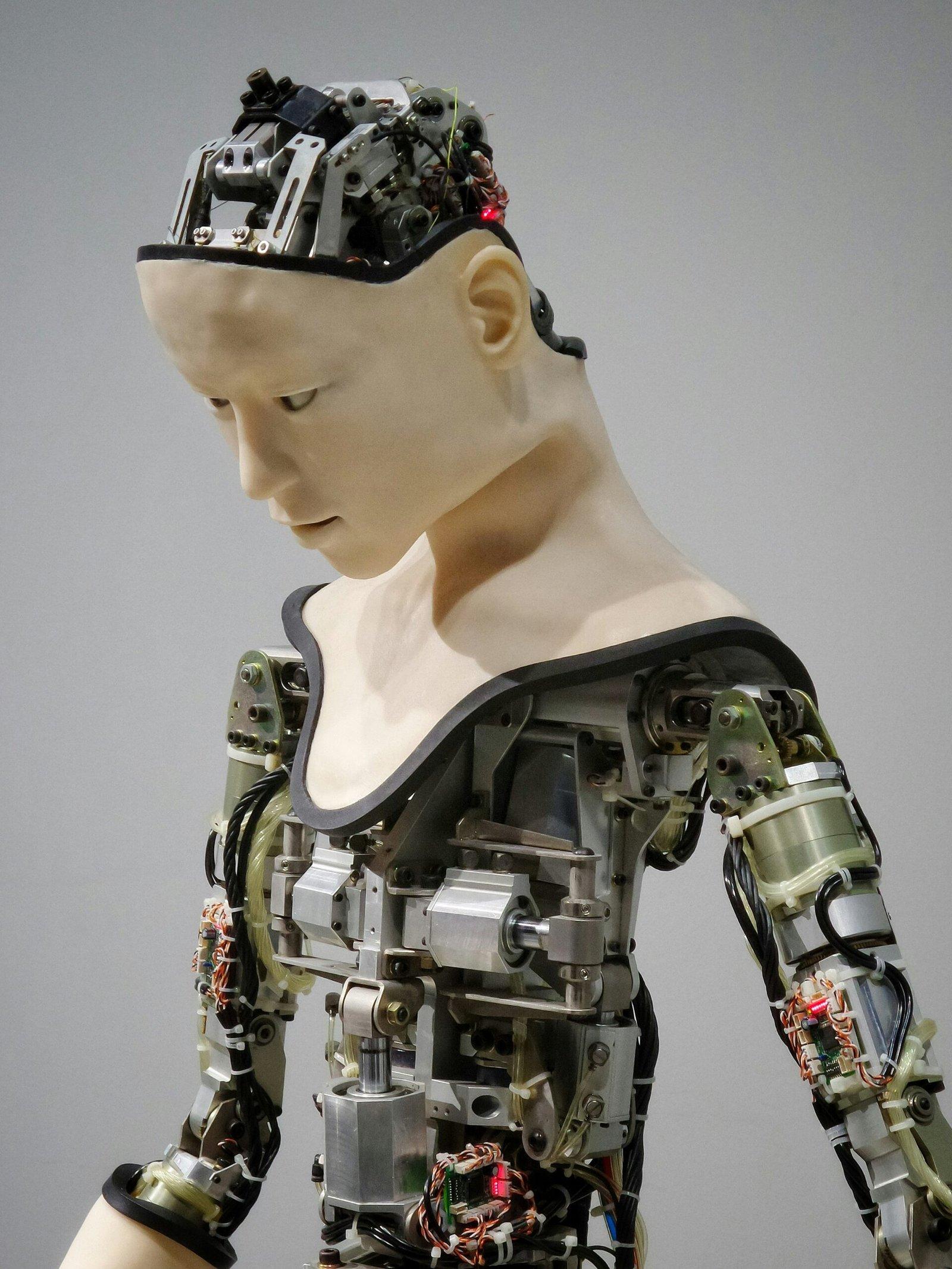 Advancements in Voice Controlled Robotics